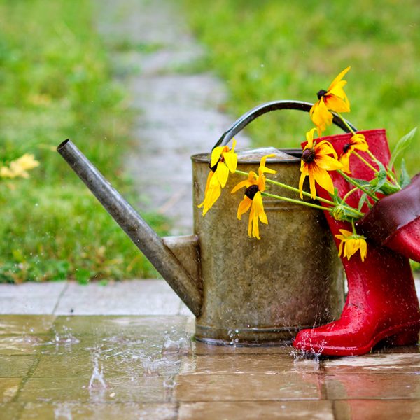 red-rain-boots